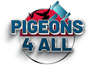 Pigeons 4 All Logo